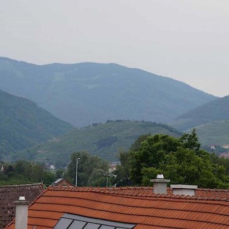 Weingut & Gaestezimmer Pammer Mitterarnsdorf 외부 사진