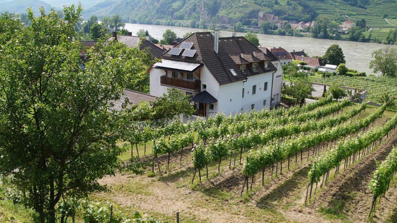 Weingut & Gaestezimmer Pammer Mitterarnsdorf 외부 사진
