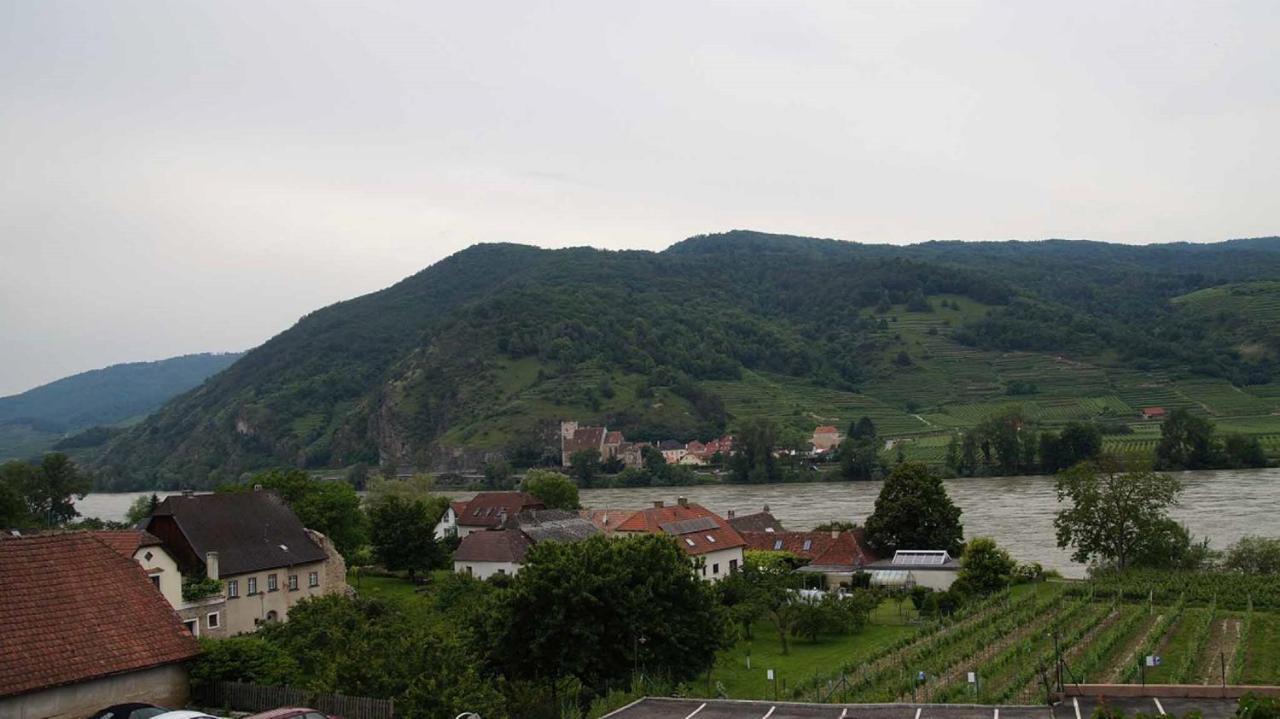 Weingut & Gaestezimmer Pammer Mitterarnsdorf 외부 사진