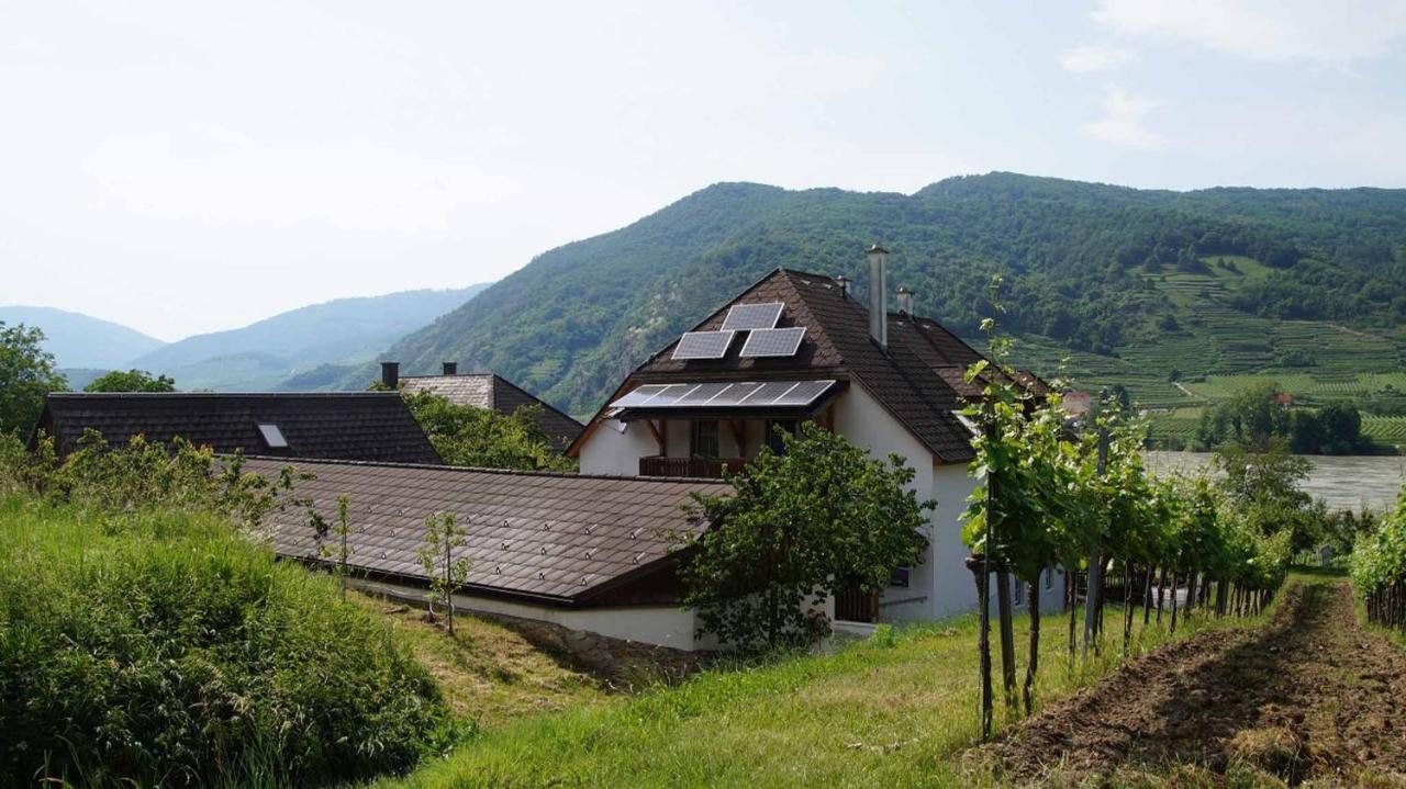Weingut & Gaestezimmer Pammer Mitterarnsdorf 외부 사진