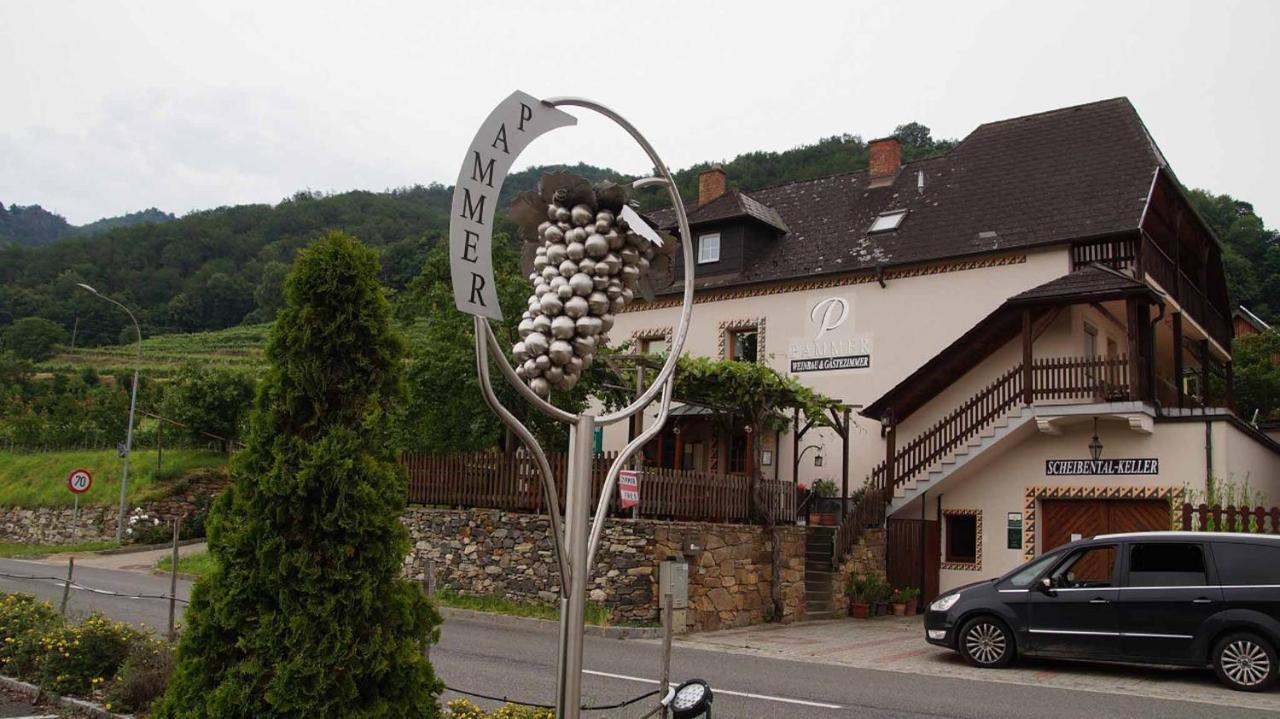 Weingut & Gaestezimmer Pammer Mitterarnsdorf 외부 사진