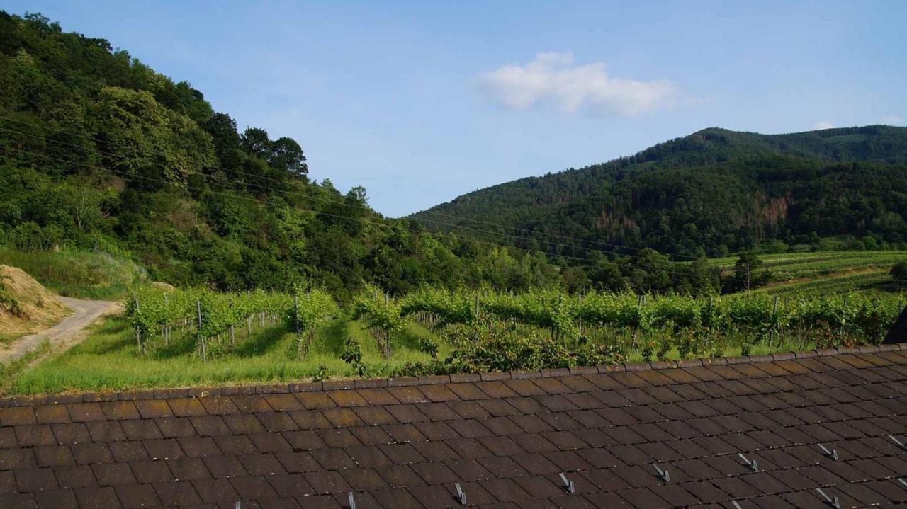 Weingut & Gaestezimmer Pammer Mitterarnsdorf 외부 사진