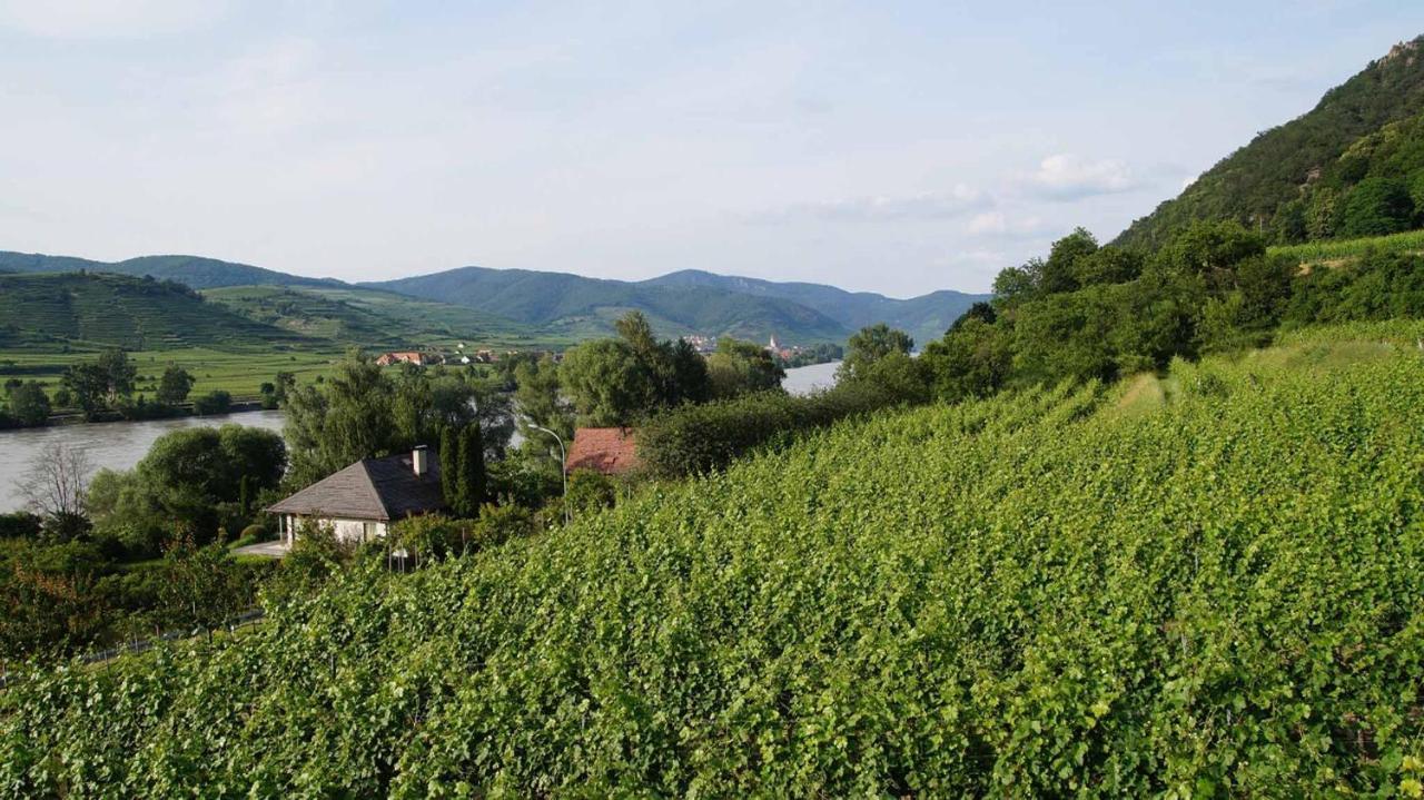 Weingut & Gaestezimmer Pammer Mitterarnsdorf 외부 사진