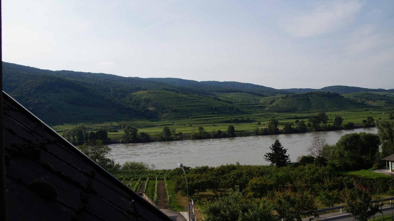 Weingut & Gaestezimmer Pammer Mitterarnsdorf 외부 사진